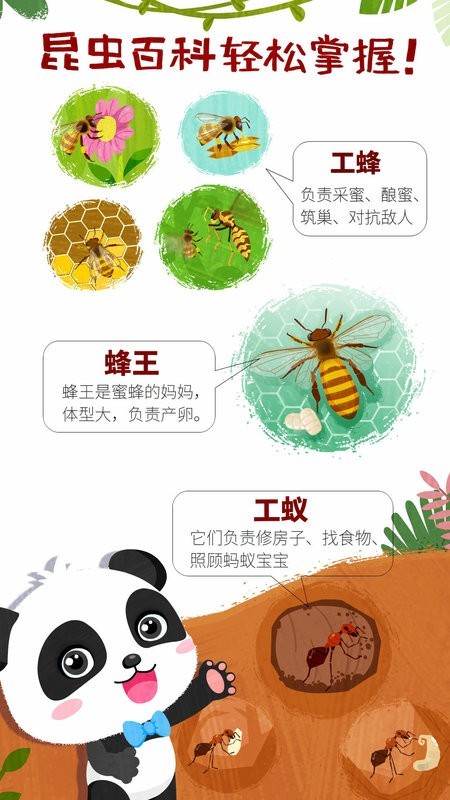奇妙昆虫世界游戏图3