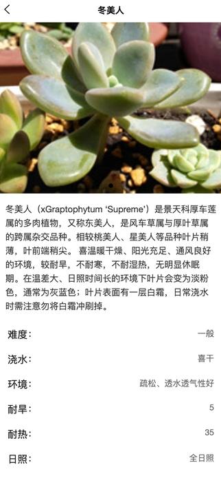 土豆植物最新版图1