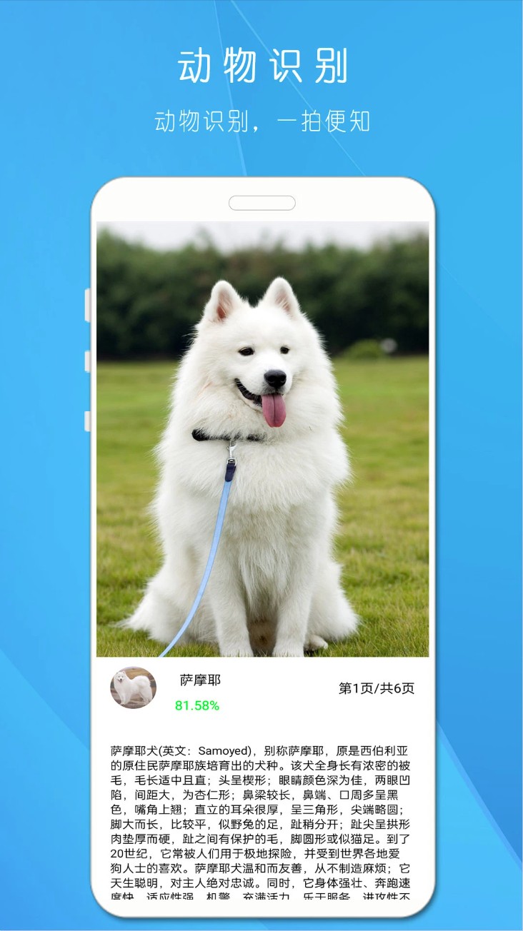 拍照识万物软件图3