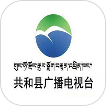 大美共和官网版图标