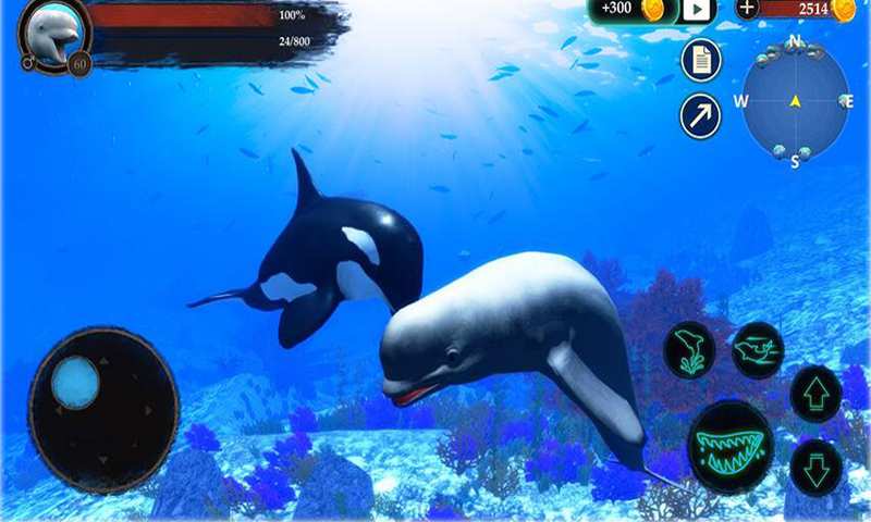 海洋大捕杀手机版图1