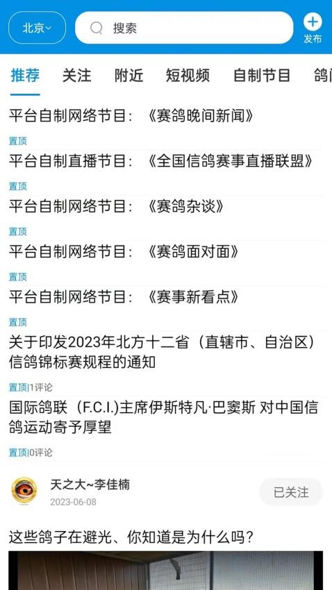 鸽网通app图3