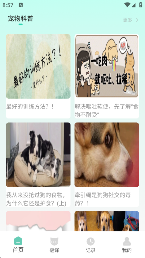 游猫猫app图2
