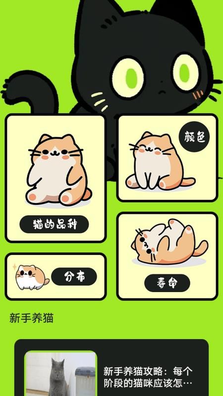 村庄叮叮猫app图2