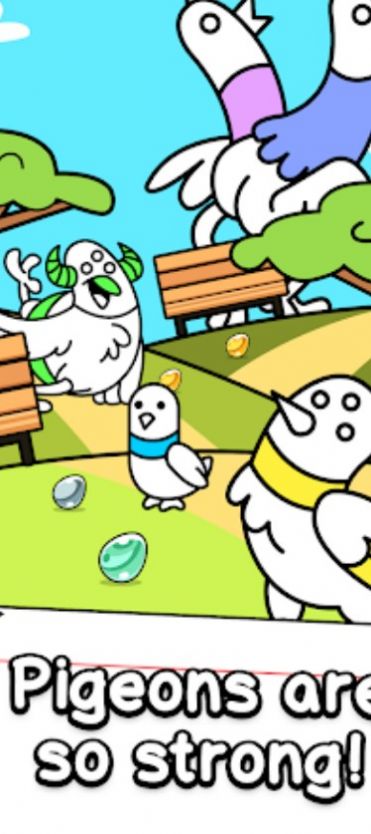 鸽子进化突变鸟类（Pigeon Evolution）游戏图1