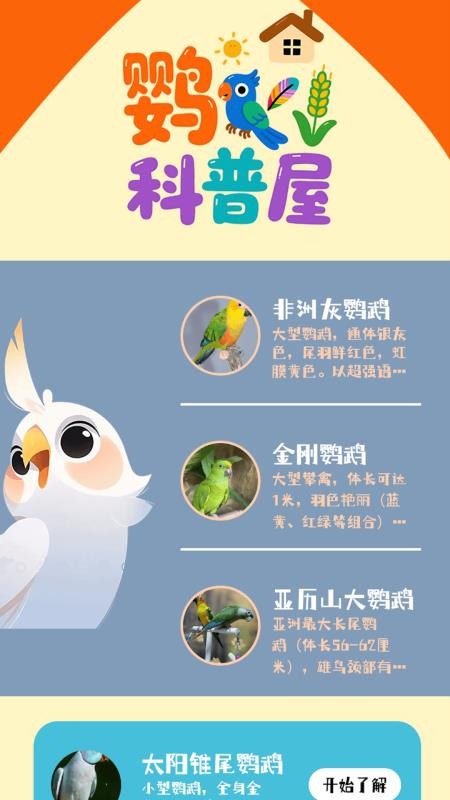 虎皮鹦鹉之屋app图1
