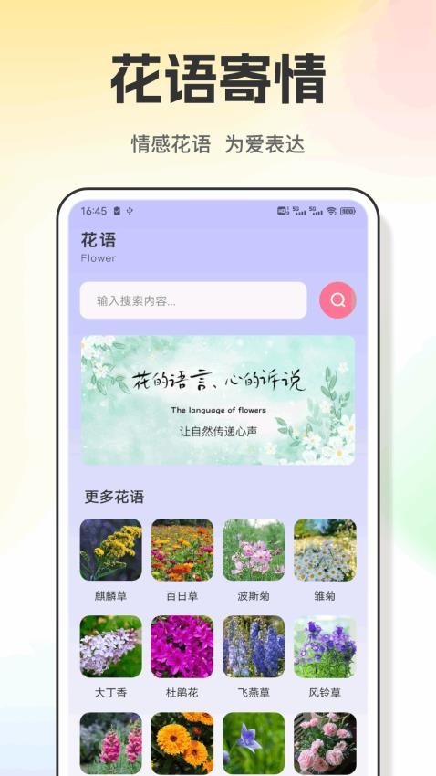 繁花之路app