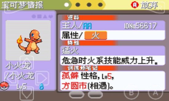 口袋妖怪：白金光