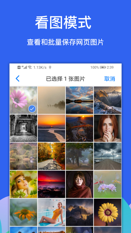Alook浏览器app图3