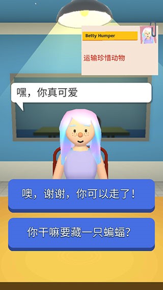 Airport Security安装器游戏图3