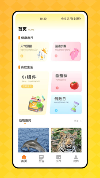 顶萌小组件app图4