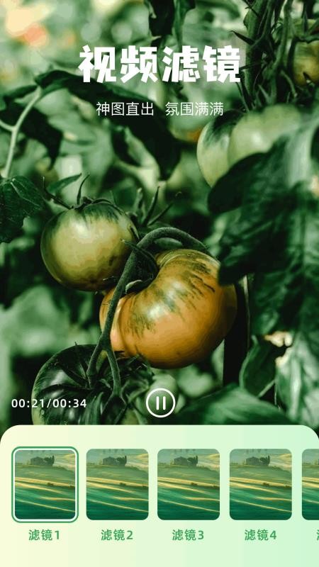 韩小站app图3
