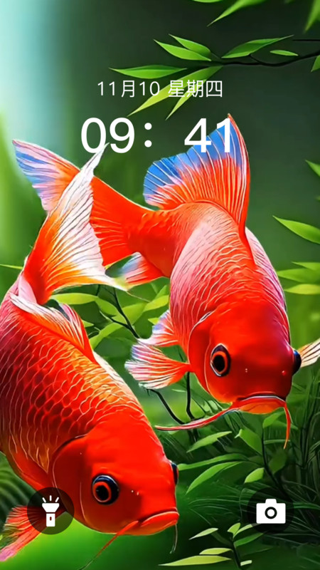 动态养鱼壁纸app图2