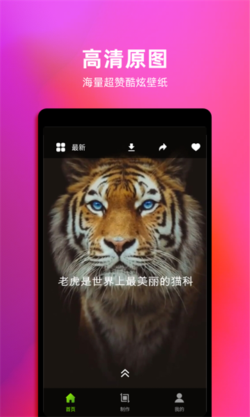 4k动态壁纸app图1