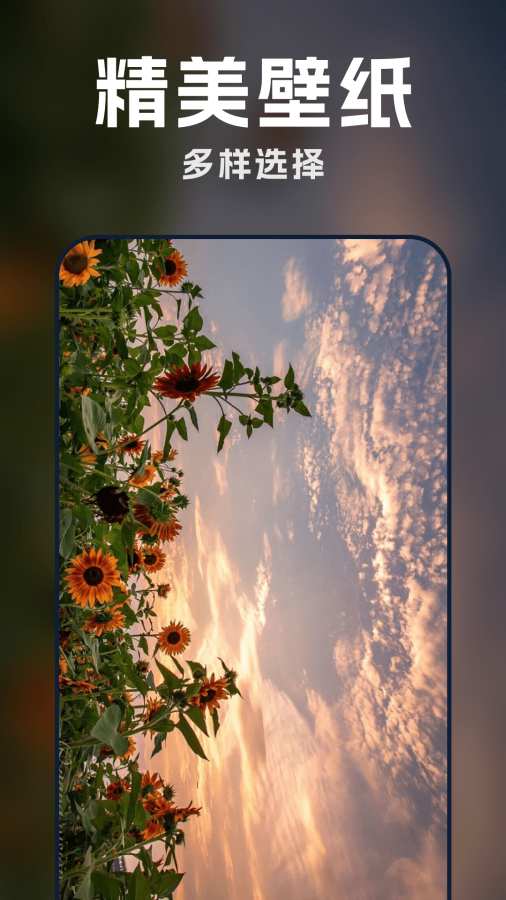 AI壁纸酷app图3