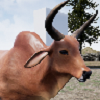 快乐犀牛模拟器（Happy Rhino Simulator）图标