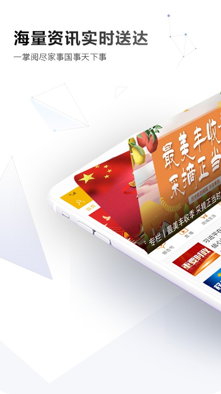 邳州银杏甲天下官网版图4