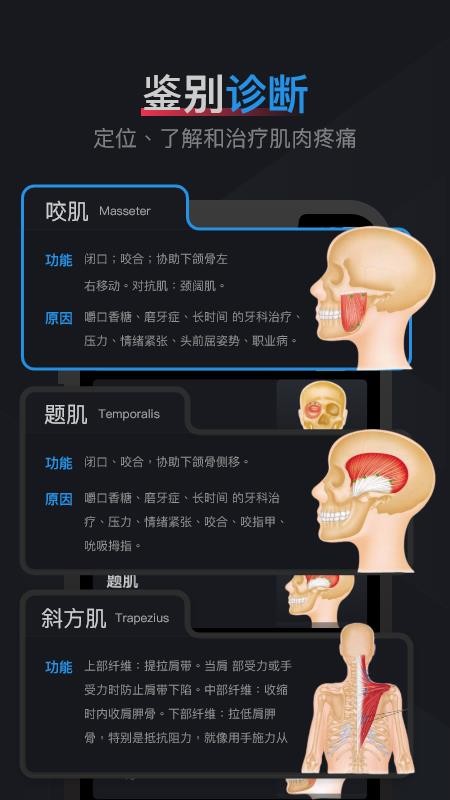 肌肉激痛点图谱app图2