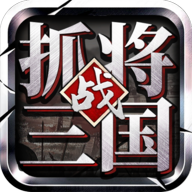 挂出个三国九游版图标