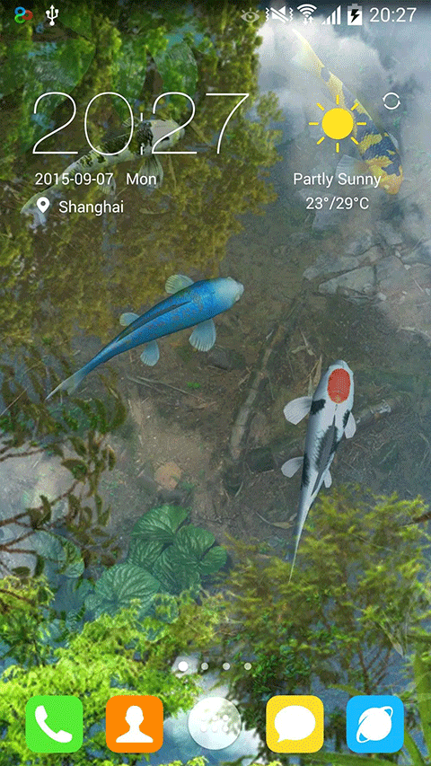 鱼池app
