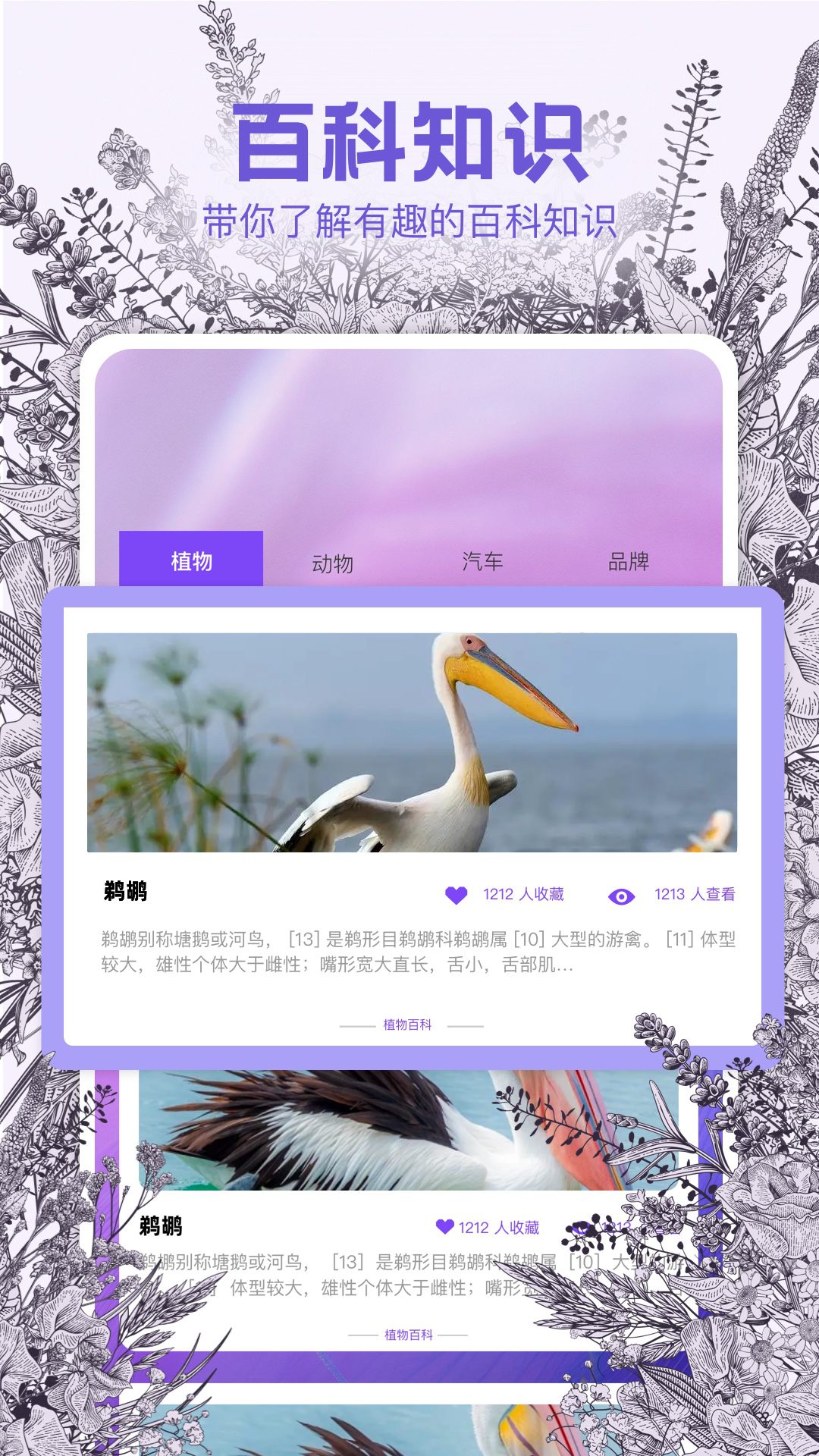识物相机app