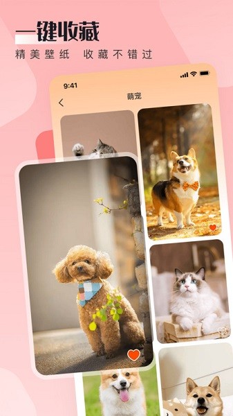 WalP 壁纸app图1