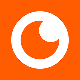 NetSee app图标