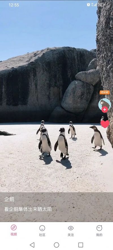 嘟嘟短视频app