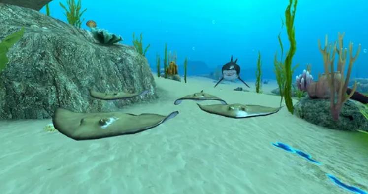 Shark Fish Simulator最新版