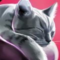 猫咪旅店（CatHotel）手游图标