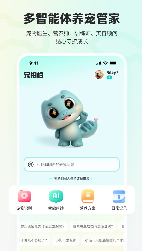 宠拍档软件