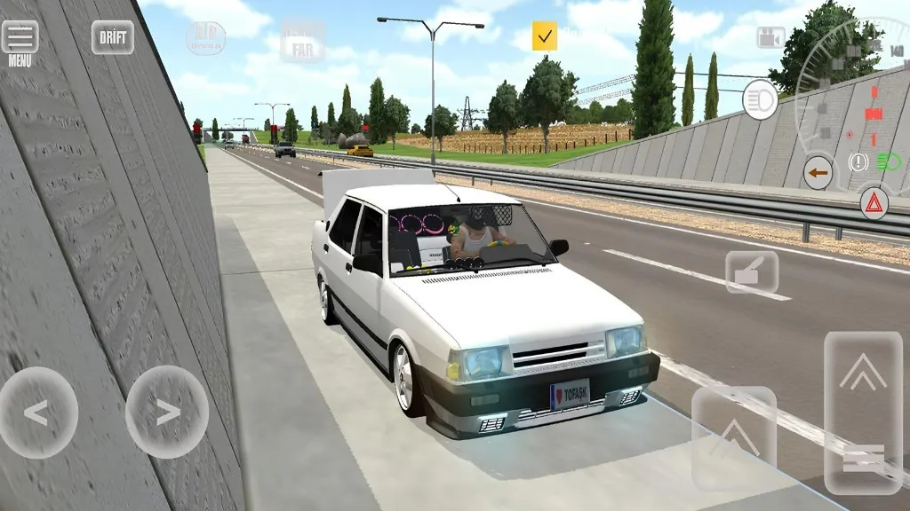 托法斯赛车游戏图1