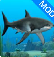 Shark Fish Simulator最新版图标