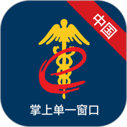 掌上单一窗口app图标