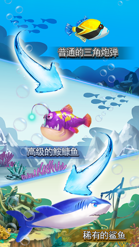 猫猫水族馆游戏图1