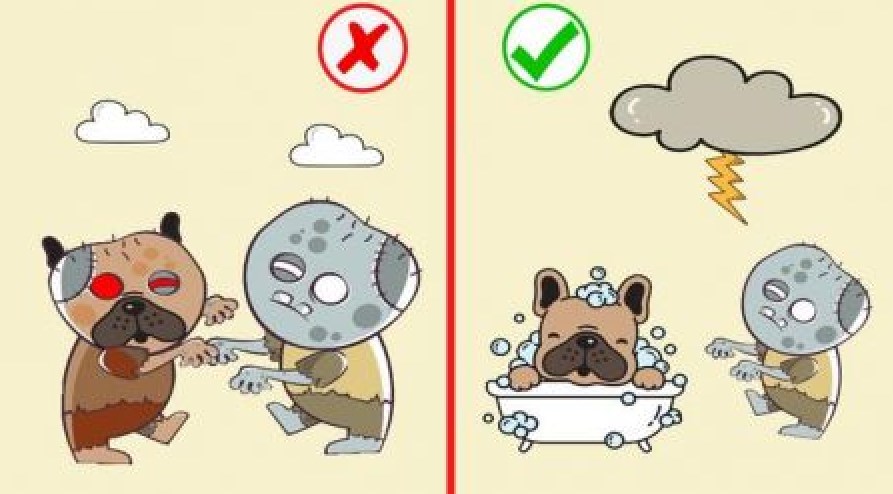 拯救狗狗们（Save The Dogs）图3