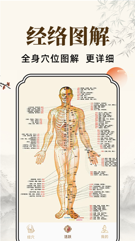 穴位经脉详解手机版图3