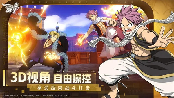 妖精的尾巴：激斗图3