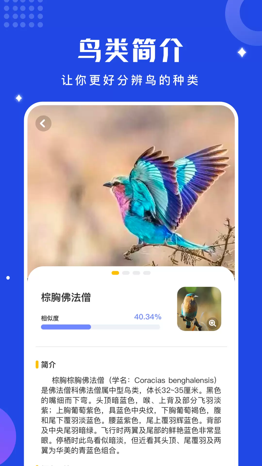 鸟语语言翻译器软件图1