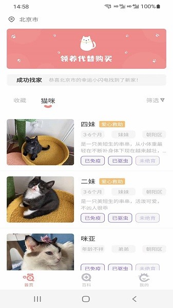 小猫先生软件图3