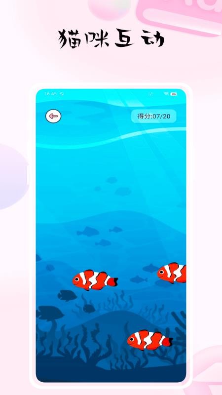 猫捉鱼app图1