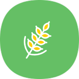麦子下载app图标