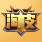 淘皮app图标