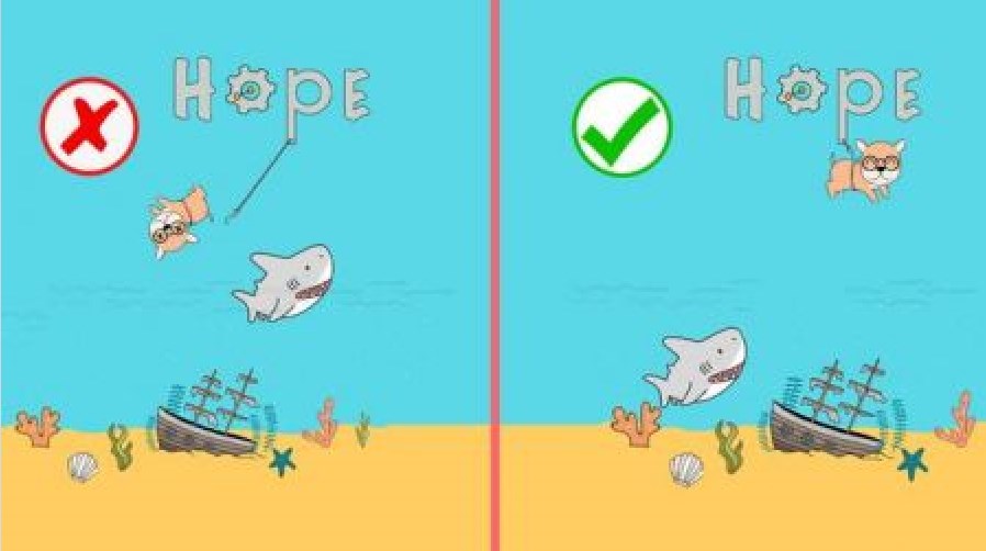 拯救狗狗们（Save The Dogs）图2