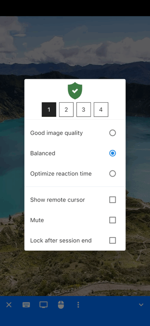 RustDesk app图3