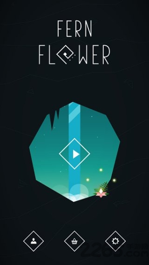 Fern Flower图2