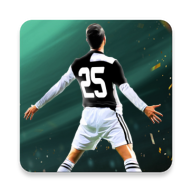 Football Cup 2025游戏图标