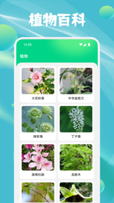 花朵物语识别手机版图1