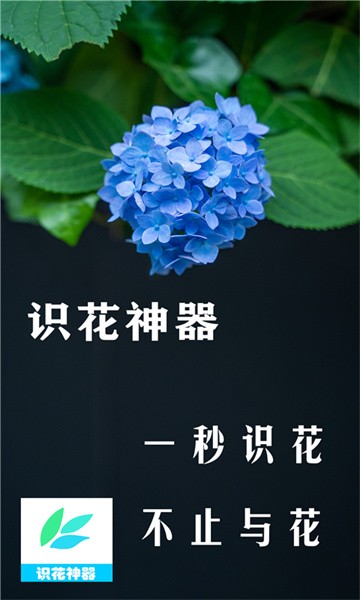 识花神器app图1