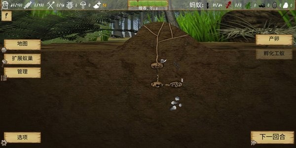 Finally Ants游戏图1